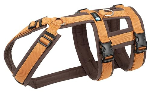 Annyx Brustgeschirr Safety Fun - Bernstein - Gr. S