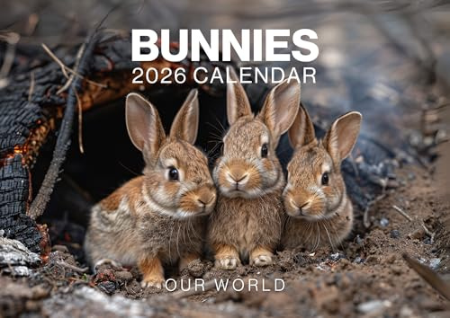 Rabbits Calendar 2026, Cute Bunny Wall Calendar 2026. Large 12 Month, Month to View with Notes & Checklist Pages, UK Made by Our World