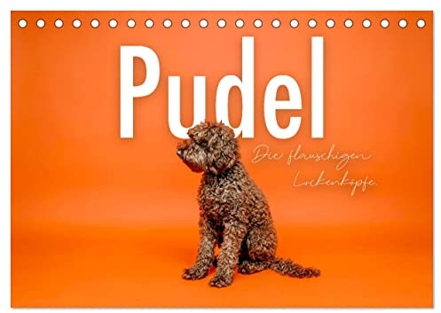 Pudel - Die flauschigen Lockenköpfe. (Tischkalender 2026 DIN A5 quer), CALVENDO Monatskalender: Flauschige Vierbeiner. (CALVENDO Tiere)