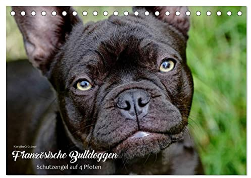 Französische Bulldoggen - Schutzengel auf 4 Pfoten (Tischkalender 2026 DIN A5 quer), CALVENDO Monatskalender: Die Fotografin Kerstin Grüttner hält ... Fotojahreskalender fest. (CALVENDO Tiere)