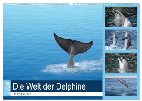 Die Welt der Delphine (Wandkalender 2026 DIN A2 quer), CALVENDO Monatskalender: Intelligente, freundliche Delphine beim Spiel (CALVENDO Tiere)
