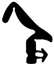 DIWARO. | Anschlagdichtung AS132 | schwarz | 5 Meter | TPE | Fensterdichtung für Aluminiumfenster, Kunststofffenster, Holzfenster. Montage an Außen- bzw. Innenseite von Fensterflügel und Fensterrahmen