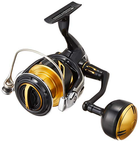 SHIMANO Spinnrolle 20 Stella SW 6000XG Gold/Schwarz