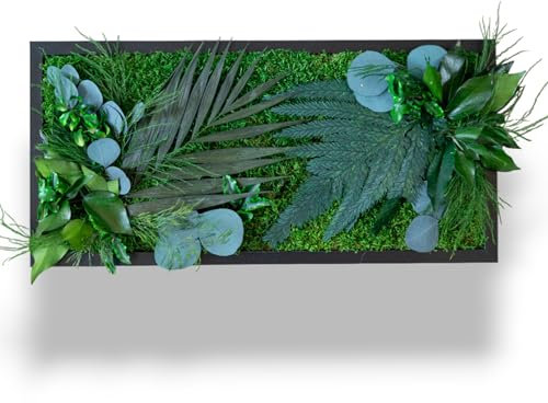 Tableau Végétal Stabilisé BALI S 50 x 23 cm – Décoration Murale Naturelle | Plantes Stabilisées Sans Entretien | Fabriqué en France