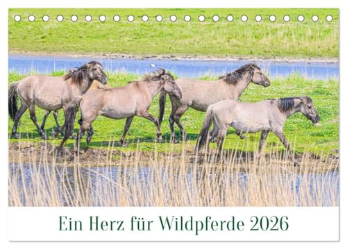 Ein Herz für Wildpferde (Tischkalender 2026 DIN A5 quer), CALVENDO Monatskalender: Bezaubernde Wildpferde und ihre Fohlen. (CALVENDO Tiere)