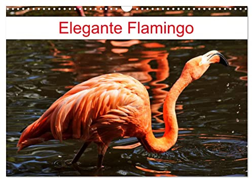 Elegante Flamingo (Wandkalender 2026 DIN A3 quer), CALVENDO Monatskalender: Rosarote Wasservögel (CALVENDO Tiere)