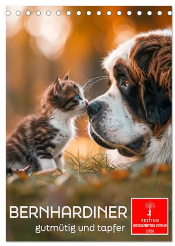 Bernhardiner - gutmütig und tapfer (Tischkalender 2026 DIN A5 hoch), CALVENDO Monatskalender: Ein Familienhund - treu und geduldig. (CALVENDO Tiere)