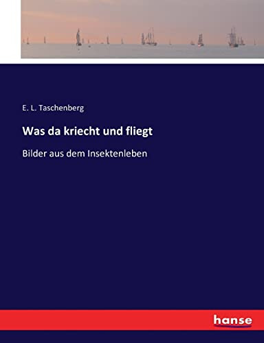 Was da kriecht und fliegt: Bilder aus dem Insektenleben