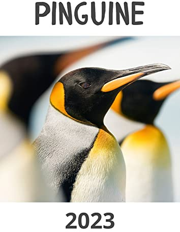 Pinguine 2023: Kalender / Broschürenkalender / Tischkalender für das Jahr 23 - das perfekte Geschenk für Freunde, Kollegen, zu Weihnachten und Geburtstag