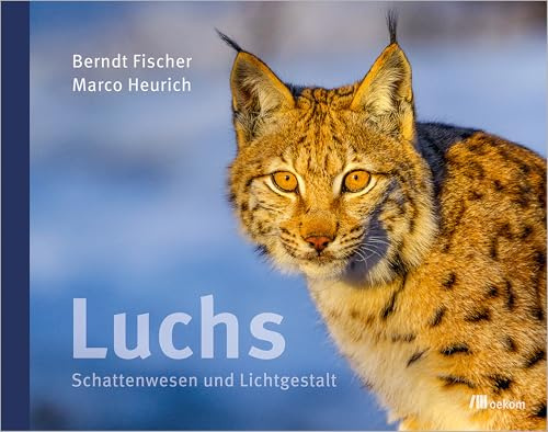 Luchs: Schattenwesen und Lichtgestalt. 5 Jahre Luchsbegegnungen – Bilder und ihre Geschichten