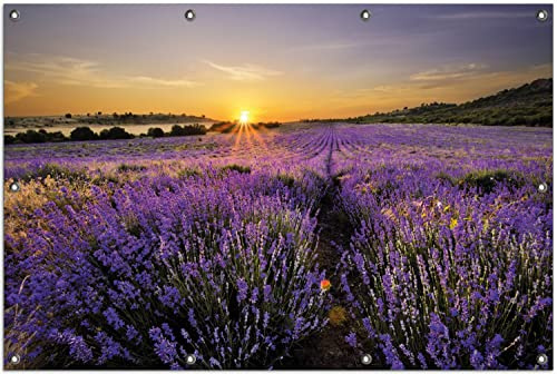 Wallario Outdoor-Poster für Garten oder Balkon Sonnenuntergang über dem Lavendel, Motivbanner Größe: ca. 100 x 150 cm, Outdoor-Bild