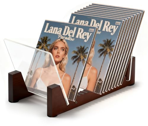 Schallplattenständer, 50 LP Holz Vinyl Schallplatten Aufbewahrungshalter Display Ständer, Tischplatte Album Cover Halter Display Regal für Alben, Schallplatten Lagerregal, Viny l Schallplatten