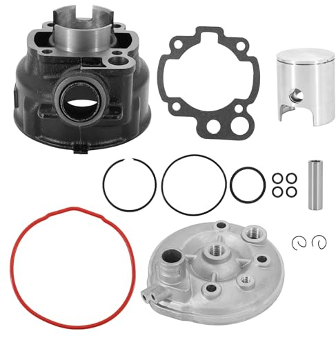 Dokili Zylinder Kit 70ccm inkl. Zylinderkopf LC wassergekühlt für Minarelli Motoren, AM 2, 3, 4, 5, 6, Aprilia RS, Beta RR 50, Malaguti XSM, Motorhispania Furia, Peugeot XP6, Rieju MRX, Sherco EN 50