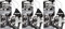 Areon liquido deodorante per auto appeso ciondolo in cristallo nero profumo di lunga durata Home 3D 5 ml multi pack – Set di 3