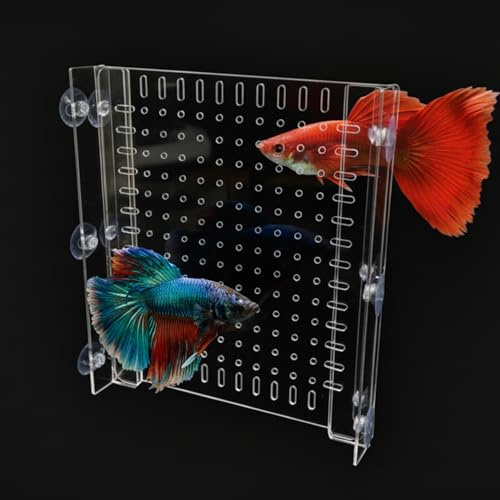 Aquarium-Trennwand für Aquarien, 45,7 x 50,8 cm, großer Acryl-Tankteiler mit Saugnäpfen, verstellbares, transparentes Trenngitter