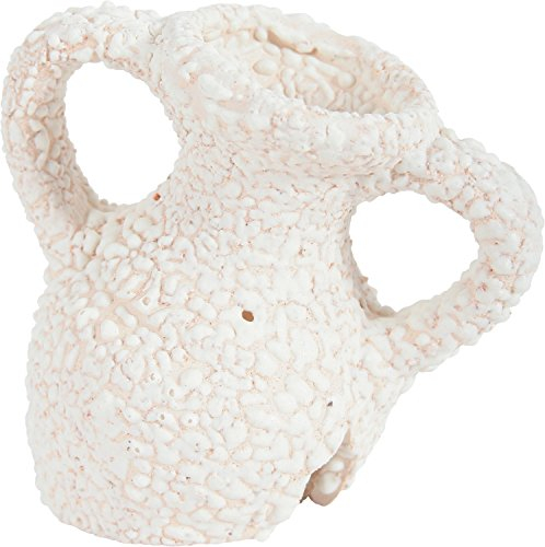 Zolux Koral Décoration Aquarium Col d'Amphore 6,5 x 8,5 x 8,5 cm