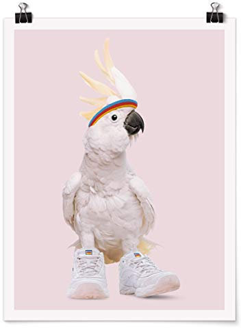 Bilderwelten Poster Kunstdruck Wanddekoration Jonas Loose - Kakadu mit Schuhen Matt 40 x 30cm