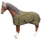 Brama-West Regendecke Pferd Rain - Weidedecke mit Fleece Futter - 600DEN - Wasserdicht - Olive - Gr. 165cm