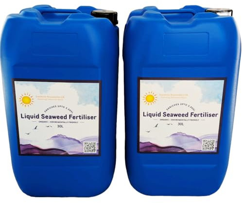 60L Organic Liquid Seaweed Fertiliser – 2x30L Drums – Natural Kelp Concentrate for Plants, Lawns, Veg, Fruit & Crops – Root & Soil Booster – UK Made – Makes 6,000L