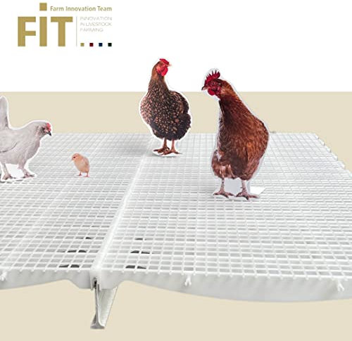 FIT SLAT Kunststoffroste für den Hühnerstall und Mobilstall, Made in Germany (1,2m)