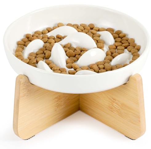 IDOGCHEW Gamelle Anti Glouton Céramique Surélevée Chat, Assiette Régime avec Support Bambou Anti Vomissement pour Chat Glouton, Bol Plat pour Chaton Alimentation Lente, Rond, Beige