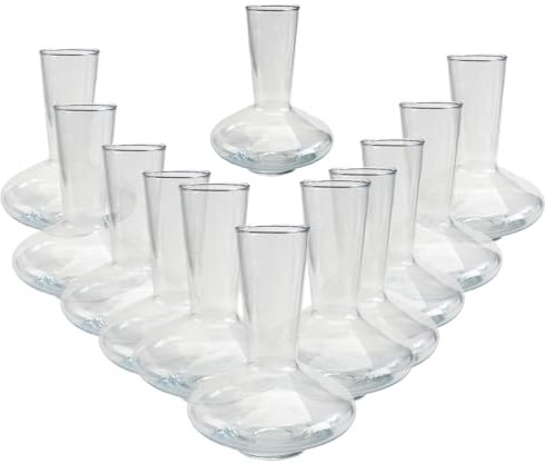 DLM-056 Kit 12 pezzi - Decanter in vetro per vino 250 ml diametro 12cm - H 15,5cm - caraffa areatore decantatore ottimo per bomboniera matrimonio anniversario compleanno regalo e ristorazione