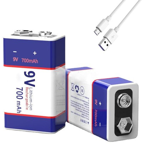 WILLQ Leistungsstarke Lithiumbatterie 9V 700mAh wiederaufladbare Lithium-Ionen-Batterien geringe Selbstentladung quadratische Batterie 2er-Pack mit USB-Kabel,9v700mah Micro