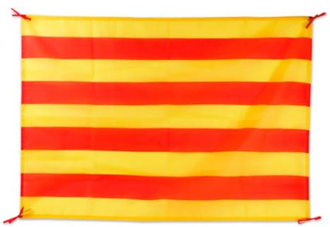 BDM Bandera de Cataluña, Bandera Catalana, Cataluya Grande para Interior y Exterior, Medidas 100 x 70 cm.