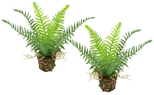 Künstlicher Waldfarn im Topf 23cm 2er Set Boston Topfpflanze Büsche Pflanzen Blumen wie echt Deko Seidenpflanze Dekoration Grünpflanze Kunstpflanze Kunstblume Waldpflanze Zimmerpflanze, Farn