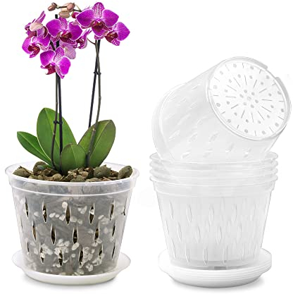 Kitypartsy Maceta para orquídeas, 5 Pulgadas, Paquete de 6 macetas para orquídeas con Agujeros y platillos, macetas de plástico Transparente para orquídeas