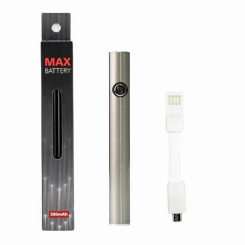 Vape Pen Battery Starter Kit Rechargeable for 510 Thread Cartridges Stick USB Variable Voltage 380 mAh Vaporizer for CBD and Thick Oil Electronic Vaporizer No Nicotine (Silver)