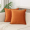 JIAHANNHA Dekorativer Samt-Kissenbezug, Orange, 2 Stück, dekorativ, weich, für Couch, Sofa, Schlafzimmer, Wohnzimmer, Auto, 45,7 x 45,7 cm