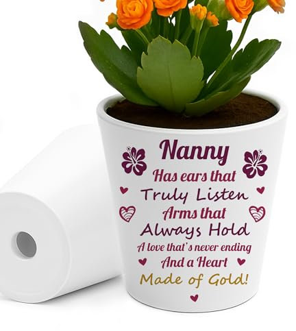 RED OCEAN Nanny Gifts Nanny Birthday Gifts Best Ever Plant Pot For from Grandchildren Unique Garden Gift Ideas for on Birthday Mothers Day Christmas
