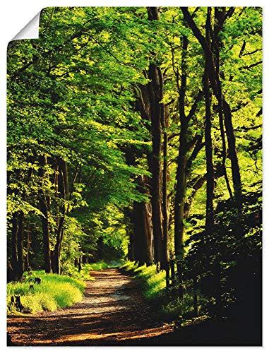 ARTLAND Wanddeko Poster & Kunstdrucke Wandposter 60x80 cm Wald Landschaft Natur Frühling Sonne Bäume Landhaus T1UC