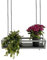 yelloo - Pflanzenregal Indoor Outdoor, Balkon Deko, Blumenständer Metall Hängendes Regal mit Ketten für Garten, Ideal zum Pflanzgefäßes im Freien (FLOWERS 75 cm, Grau/Schwarz)
