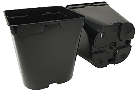 GREEN24 50 Stck. Pflanztöpfe 3 L (16,0 x 16,0 x 16,5 cm) große Vierecktöpfe Profi XL Anzuchttöpfe Pflanztöpfe Blumentöpfe Vierkant-Töpfe