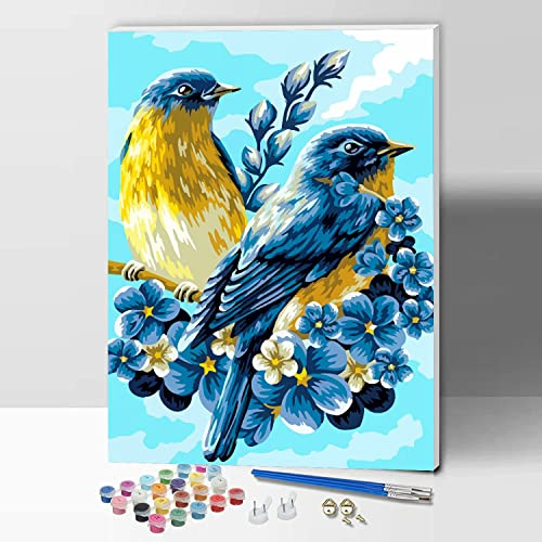 Hiolife Paint by Numbers for Adults, Children, Beginners, DIY Gift Canvas Painting Kits with Frame, 12x16 Inch Birds - with Framed