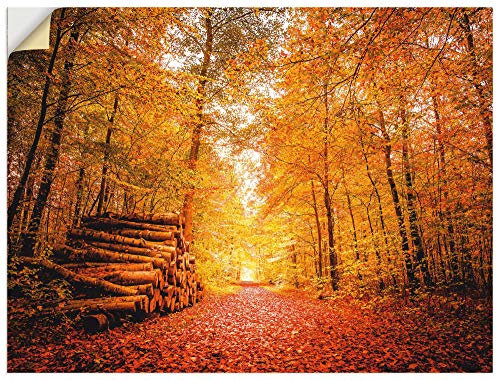 ARTland Wanddeko Wandtattoo selbstklebende Vinylfolie 60x45 cm Wald Bäume Natur Landschaft Herbst Blätter Landhaus S8QX