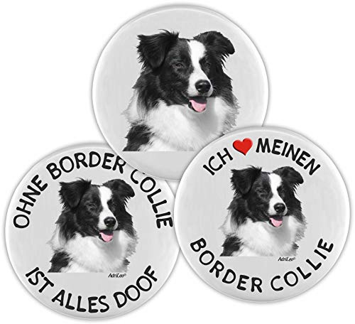 AdriLeo Kühlschrankmagnet - 3er Set - Border Collie