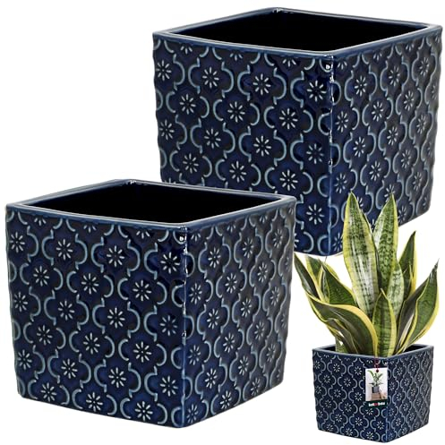 KOTARBAU® Macetero cuadrado de cerámica, vintage, color azul cobalto, 13 x 13 cm, altura: 13 cm, cerámica esmaltada, 2 unidades, cuadrada, para interior
