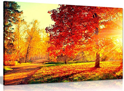 Autumn Trees Sunlight Landscape Canvas Wall Art, Framed, 24x16in | Panther Print, Ready to Hang, Autumn Leaves Home Decor for Living Room Bedroom Office, 61x41cm, Pine Frame, Vivid UV Inks