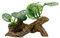 Smoothedo-Pets Aquarium Plants Fish Tank Decorations Betta Rest Soft Silk Leaf/Small Size Plastic Artificial Plant Goldfish Waterscape Fish Hides Snake Tank/Reptiles Plants (Driftwood Type (CC)