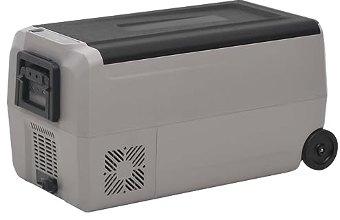 GuyAna Nevera con Ruedas y asa PP Y PE Negro y Gris 60 L Nevera PequeñA Portatil Hielo Nevera Portatil