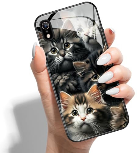 Phone Case for iPhone X XS Hard Back Cover Printed Pattern Design Hybrid PC + HD Glass Soft TPU Bumper - Cats