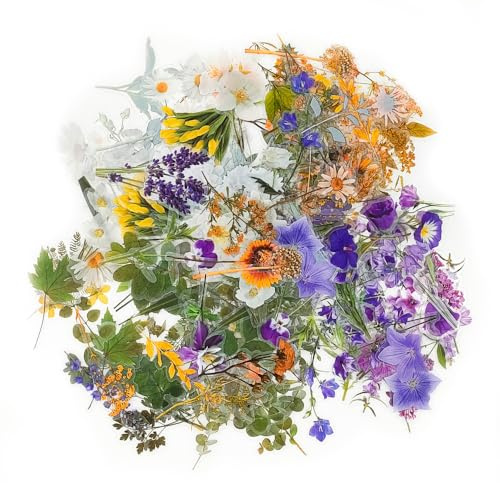 160 Pieces Transparent Botanical Stickers Scrapbooking Supplies Set Transparent Floral Stickers PET Flower Decorative Cards Waterproof Beautiful for Crafts Scrapbooking Crafts Laptop
