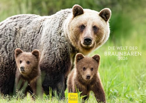 Edition Seidel Premium Kalender Die Welt der Braunbären 2026 Format DIN A4 Wandkalender Tierkalender Bären Bär Bärin Wildtiere Waldtiere Raubtiere