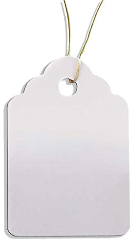 HOMETOOLS 100 Pflanzen-Anhänger mit Schnur, verwitterungsfest, Kunststoff, 3,5 x 2,5 cm, weiß