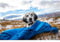 Non-stop dogwear LY SLEEPINGBAG | 182 | Outdoor Hundeschlafsack, Größe:M