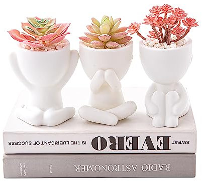 HEYO-YEPY 3PCS Cute Artificial Plant Office Decor for Women and Men, Aesthetic Desk Plant Decor for Office and Home, Potted Small Fake Plants for Indoor Decoration, White Pots Pink Plants