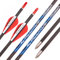 PHILOCS 12St Carbonpfeil ID 4,2mm Rot Weiß Wassertropfen-Feder Pfeil Spine 300 350 400 500 600 700 800 900 1000 Jagd-Übungspfeil für Compound Bogen Recurve Bogen Bogenschießen (Spine 700, 30inch)
